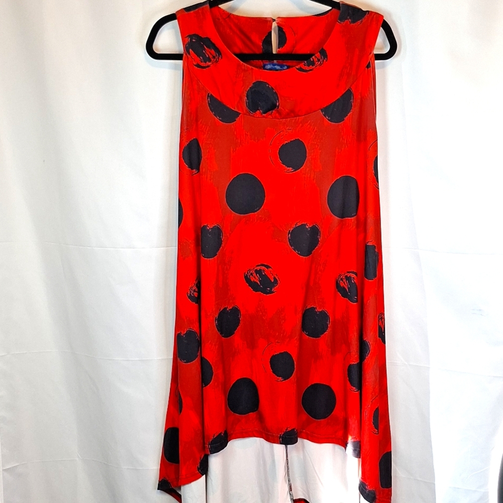 Aster blouse 1X